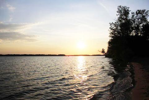 beach sun shining trees