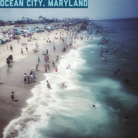 ocean city maryland packed beach of people